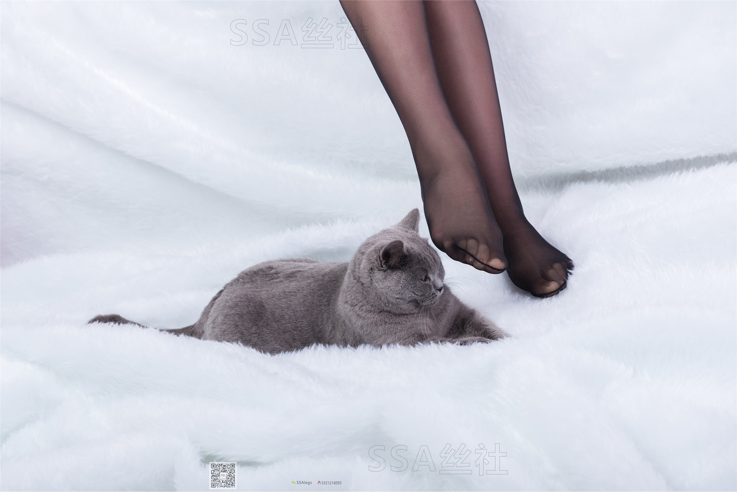 SSA丝社 超清写真 NO.069 云云 复古旗袍黑丝穿搭示范